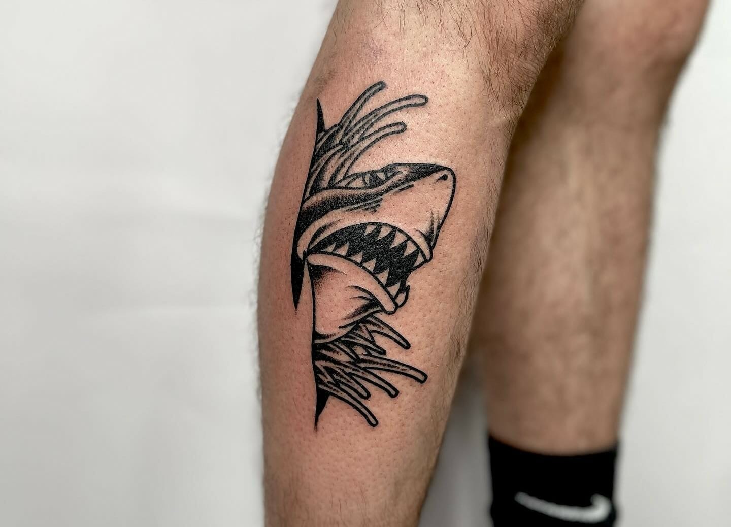 Ảnh cá mập tatto đẹp