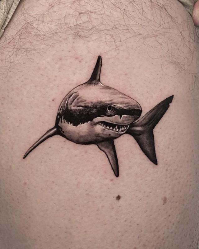 Cá mập tattoo